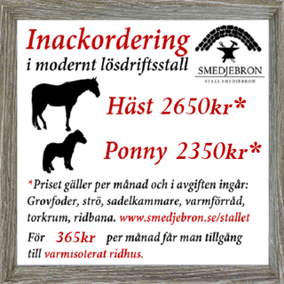 Prova på beridet bågskytte - Passar alla åldrar och utrsutning finns att låna på plats